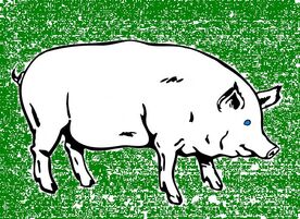 Pig-banner