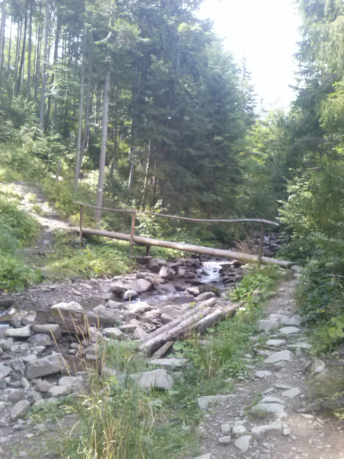 Pilsko Przewodnik Wiki Fandom