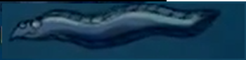 Węgorzęł.png