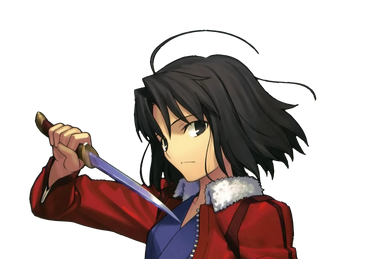 Encyclopedia/FEM | TYPE-MOON Wiki | Fandom