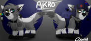 Akro Character scheet