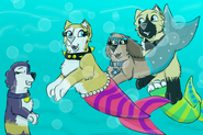 Victoria with Gray Savannah and Mer pup swimming Draw that again challenge