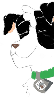 Sketch1597670716059.png