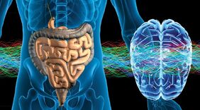 Brain-gut-connection