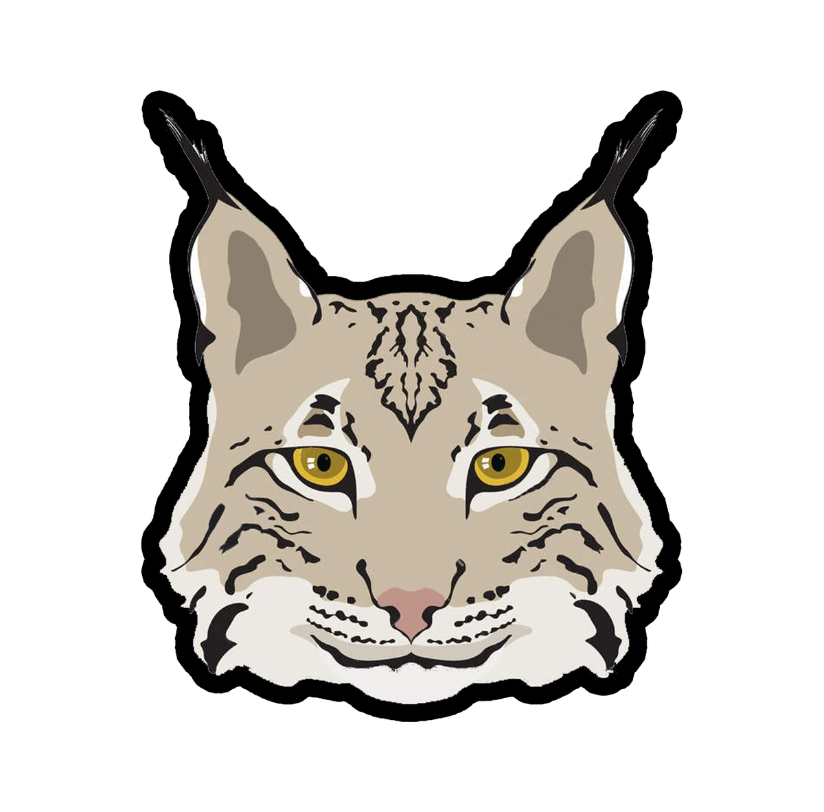 Enid Baker Wiki Psi/Cambiantes Fandom