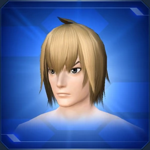 男性 梦幻之星ol2服装 维基 Fandom