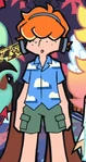 Hawaiian shirt