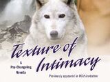 Texture of Intimacy (novella)