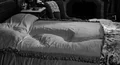 Psycho 14.jpg (55 KB) Mother's Bed