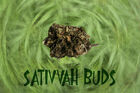 LegalHerbalShop-sativvah legalbud