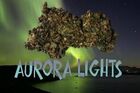 LegalHerbalShop-aurora lights legal bud