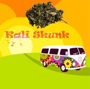 LegalHerbalShop-kali skunk legal bud