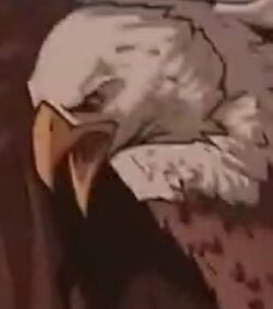 Talon.jpg