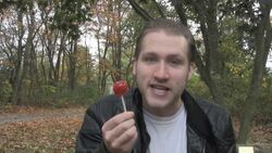 The Trick to Treats.jpg