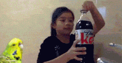 OyPFqcv.gif