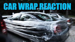 CAR WRAP REACTION