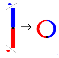 Ring chromosome