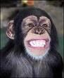 Monkey smile.jpg
