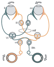 ThreeNeuronArc