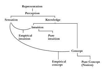 Kant-taxonomy