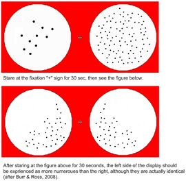 Two figures, one above the other. First figure (up) display contain two circles: 10 dots in the circle at left and 100 dots in the circle at right. Fixation mark is placed between two circles