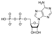 ADP chemical structure