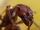 Ant head closeup.jpg