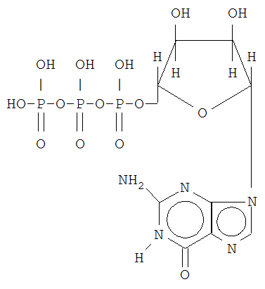 GTP.png
