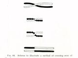 Homologous recombination