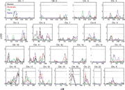 Example of a Genome-wide QTL-Scan from PLoS Biology