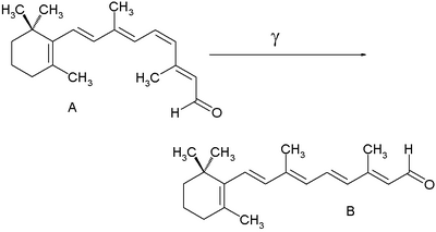 RetinalCisandTrans