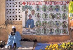 Traditional healer Cote dIvoire 060433433791