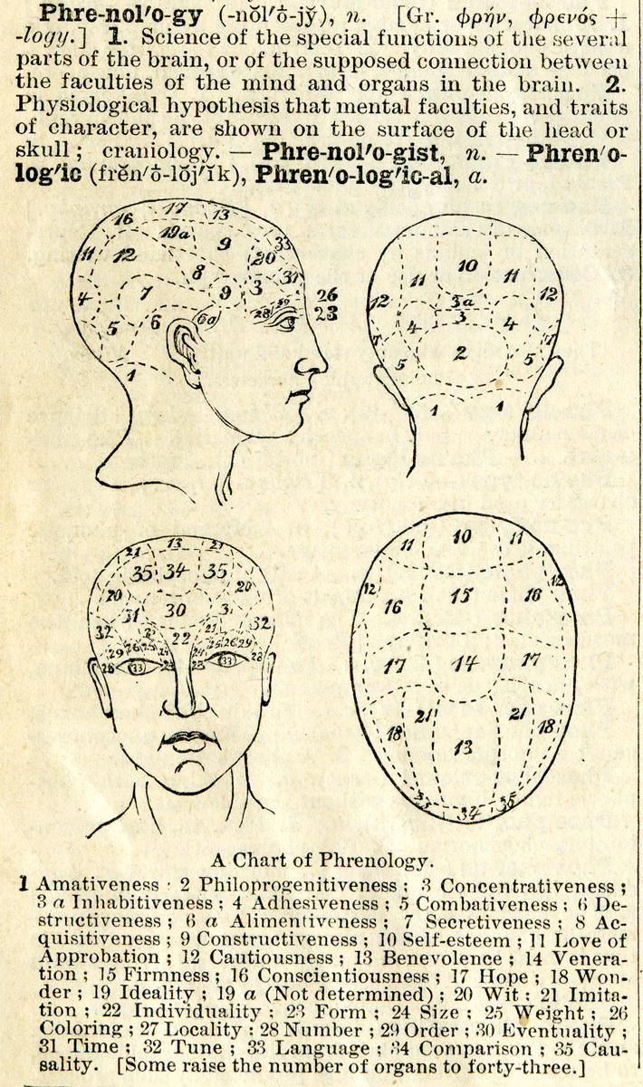 大勧め in Phrenology of /Examination Routledge :Cooter vol.6
