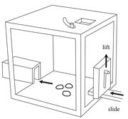 Two-action task paradigm