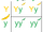 Punnett square