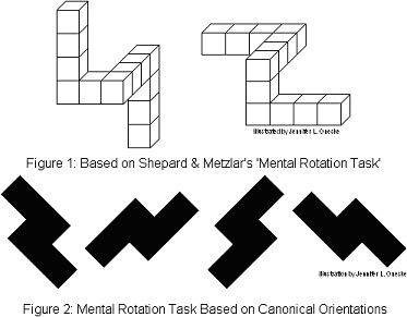 Mental rotation, Psychology Wiki