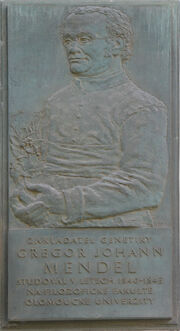 Gregor-Johann-Mendel-memorial-plaque