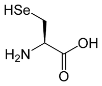 L-selenocysteine-2D-skeletal