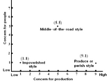 Managerial Grid Model