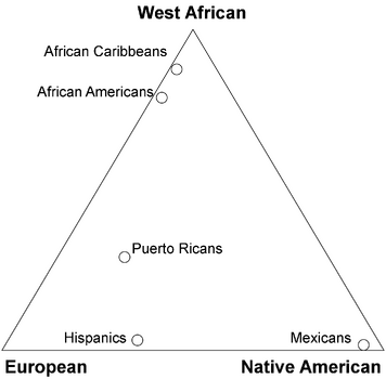 Admixture triangle plot