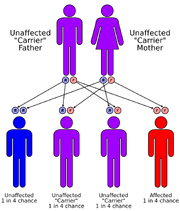 Autorecessive