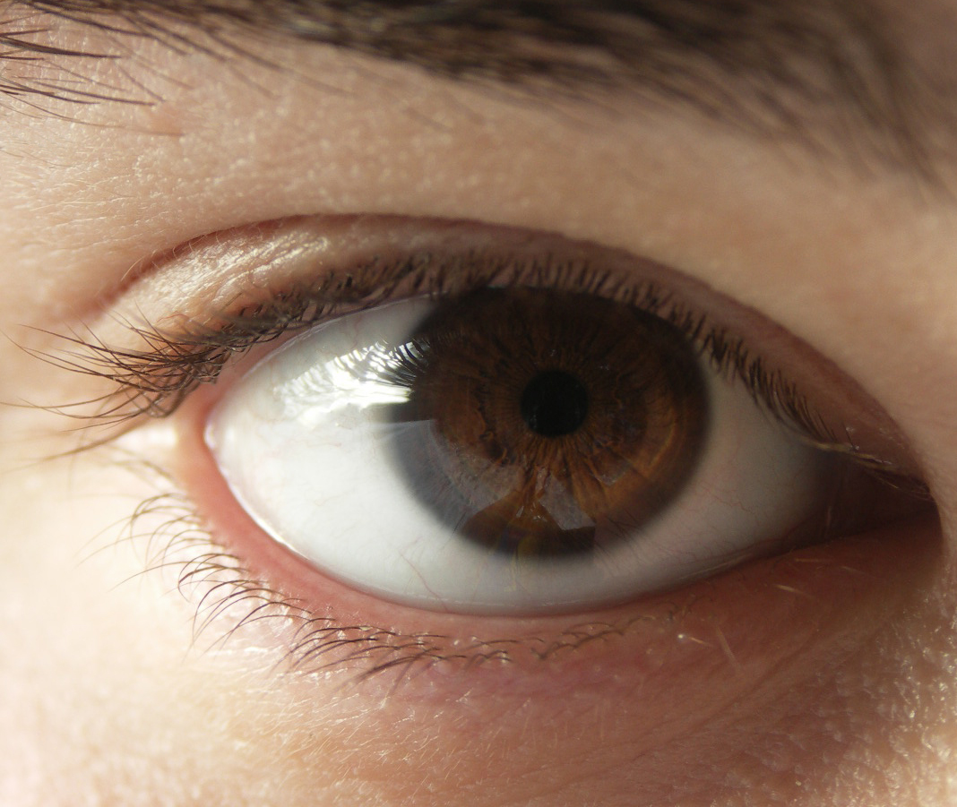 Eye colour | Psychology Wiki | Fandom