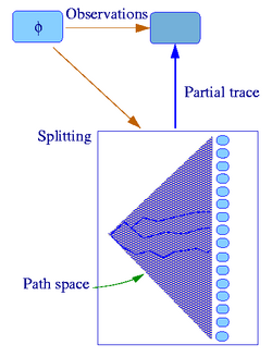 Path-integral-mwi