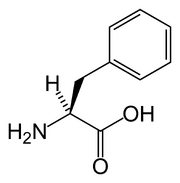 L-phenylalanine-skeletal