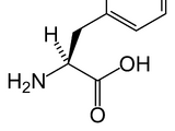 Amino acids