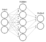 Neural Network