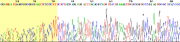 Sanger sequencing read display