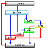 Basal-ganglia-classic