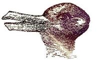 Duck-Rabbit illusion