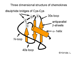 ChtxChemkinStr2